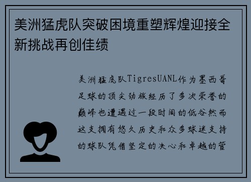 美洲猛虎队突破困境重塑辉煌迎接全新挑战再创佳绩